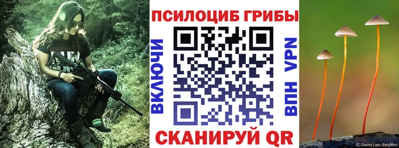 Псилоцибиновые грибы MAGIC MUSHROOMS  как найти закладки  Карталы 