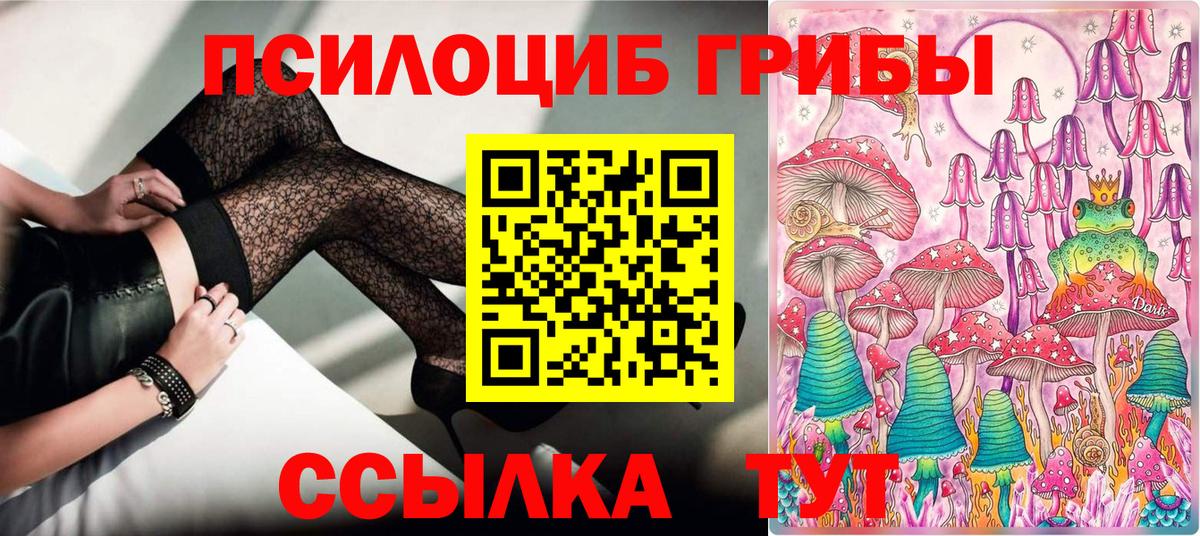 Галлюциногенные грибы Magic Shrooms Карталы