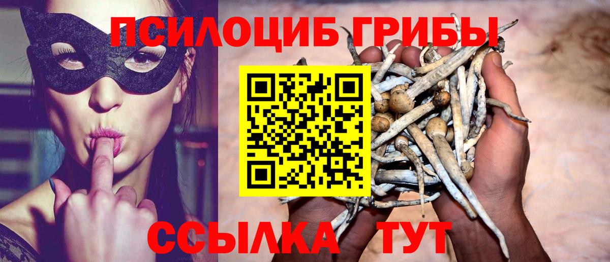 Карталы  Галлюциногенные грибы мицелий  Вход с VPN 